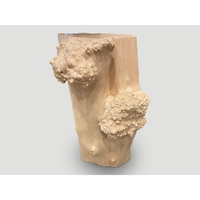 Andrianna Shamaris Rare Bleached Teak Root Pedestal For Sale - Image 12 of 18