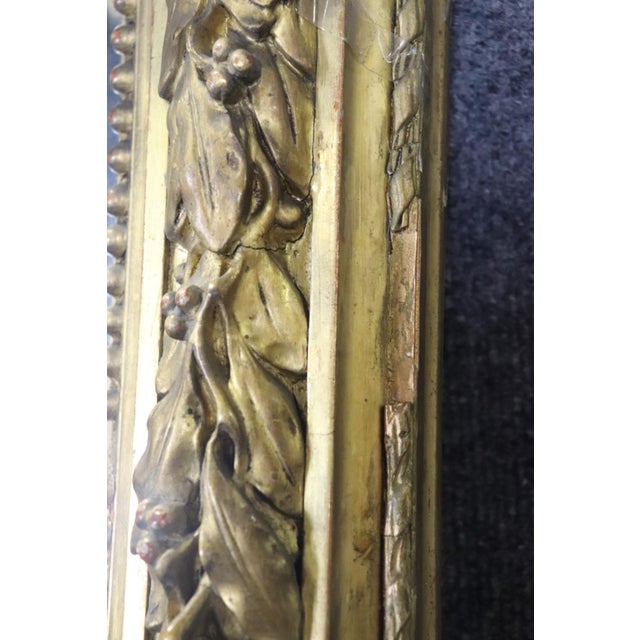 Late 19th Century Monumental Carved 19th C Louis XV Gold Leaf Carved Mirror For Sale - Image 5 of 12