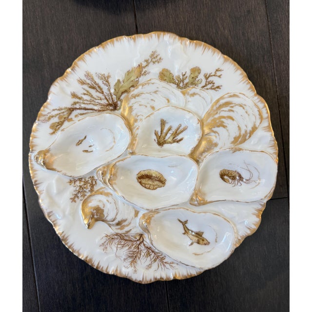 Haviland & Co. Set/6 Rare Antique French Haviland & Co. Limoges Porcelain Turkey Pattern Oyster Plate 8.75" With Sea Creatures For Sale - Image 4 of 16