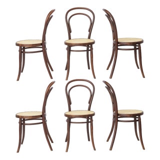 Mid-Century Modern Austrian Dark Beech Bentwood Dining Chairs with Woven Rattan Seats, 1950s, Set of 6 For Sale