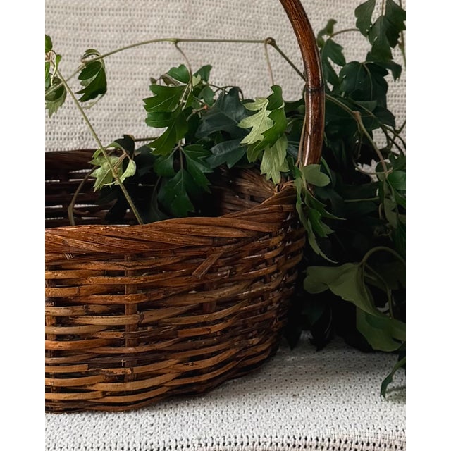 A beautifully aged vintage gathering basket with a low oval form, tall arched handle and richly variegated brown finish....