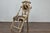 English 1880s Aesthetic Movement Carved Oak Chair with Zebra Upholstery For Sale In Atlanta - Image 6 of 12