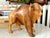 Vintage Wooden American Bison Buffalo Statue Carving For Sale - Image 9 of 9