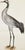 1980s Olof Rudbeck, Swedish 18th C., Monumental Bird Portfolio, 35 Images in Modern Facsimile, Published by René Coeckelbergh For Sale In Atlanta - Image 6 of 6