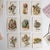 ANTIQUE EDWARDIAN CARD GAME BY THOMAS DE LA RUE & CO. LTD. ‘THE NEW AND DIVERTING GAME OF “ALICE IN WONDERLAND”’ Thomas De...
