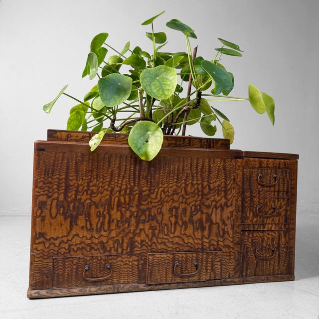 Japanese Wooden Hibachi Tea Cabinet with Drawers, 1920s For Sale - Image 6 of 14
