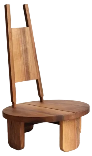 Wilson Chair by Eloi Schultz