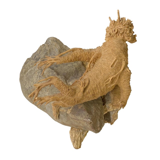 Wood Artistic Natural Wood on Stone Carve Into Chinese Ginseng Root Sculpture For Sale - Image 7 of 7