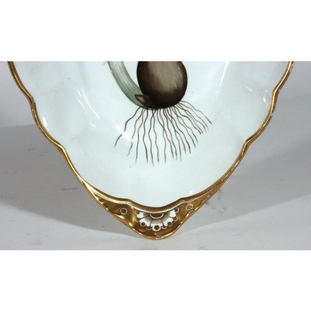 Ceramic Spode Porcelain Botanical Specimen Dish- Spring Meadow Saffron, After William Curtis For Sale - Image 7 of 12