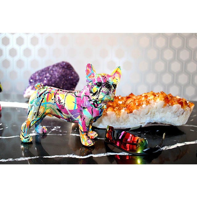 Interior Illusions Plus Vivid French Bulldog Ears Up For Sale - Image 4 of 4