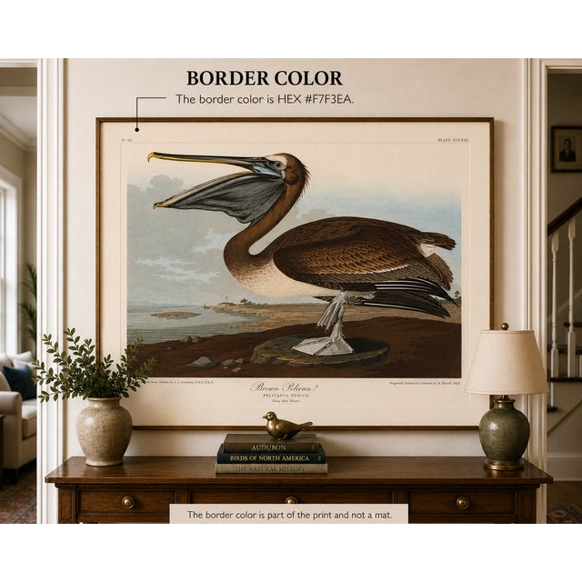 Not Yet Made - Made To Order Brown Pelican, Vintage Art Print Reproduction From Birds of America by John James Audubon, 48″ × 32″ For Sale - Image 5 of 9