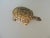 1990s Gold Leaf Terracotta Turtle Candle From Mexico For Sale - Image 5 of 8