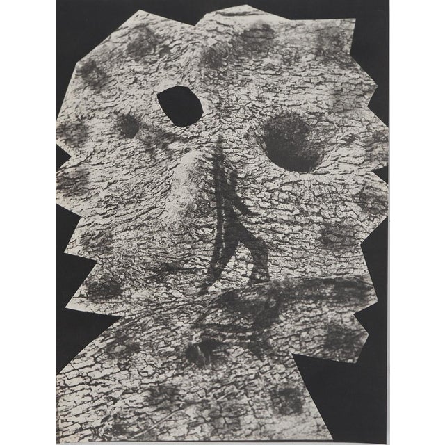 Pablo Picasso, Diurnes, The Deepest Silence, Original Phototype For Sale - Image 6 of 6