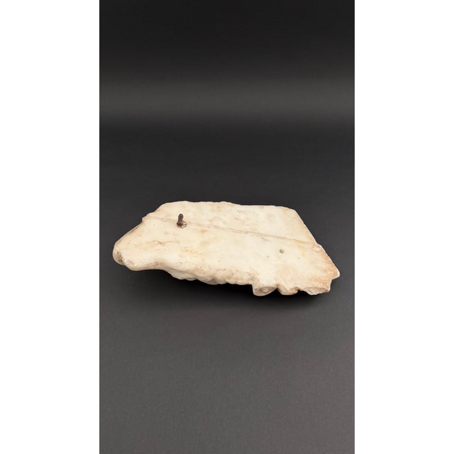 17th Century Marble Fragment Depicting a Lamb, Tuscany For Sale - Image 17 of 18