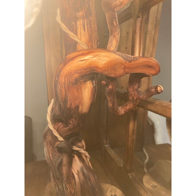 Tree Table Lamp With Live Edge Base and Root Upper. For Sale - Image 11 of 16