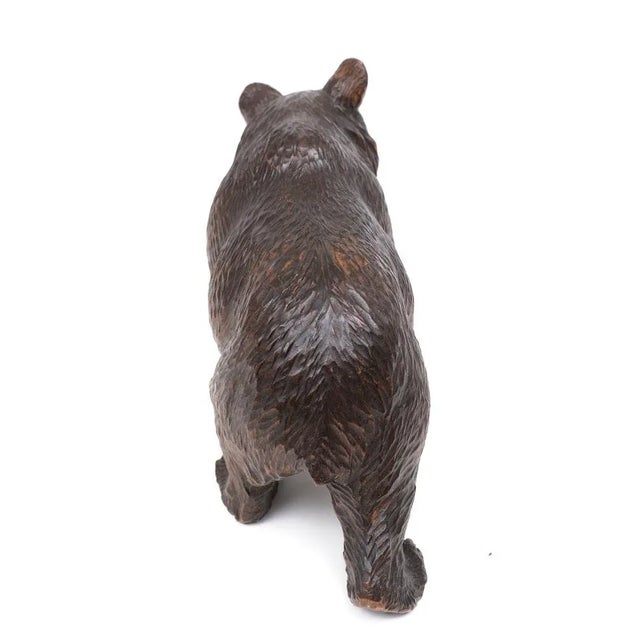 Antique Hand Carved Black Forest Bear, Germany, 1920s For Sale - Image 3 of 9
