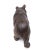 Antique Hand Carved Black Forest Bear, Germany, 1920s For Sale - Image 3 of 9