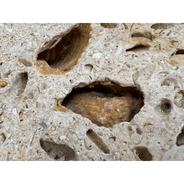 Cream Artisan Made Fossilized Stone Side Table For Sale - Image 8 of 12