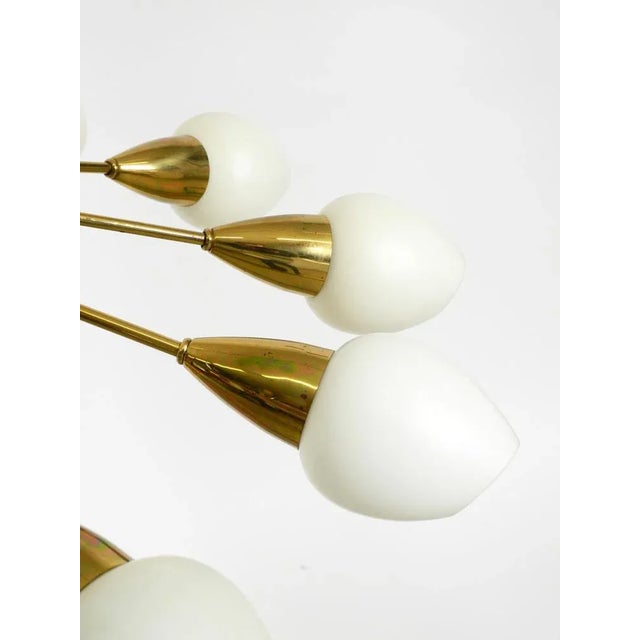 Mid-Century Brass 12-Armed Chandelier with Opal Glass Shades, 1950s For Sale - Image 18 of 18