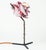 Not Yet Made - Made To Order Realistic Table Lamp by Dario Nasuti For Sale - Image 5 of 7
