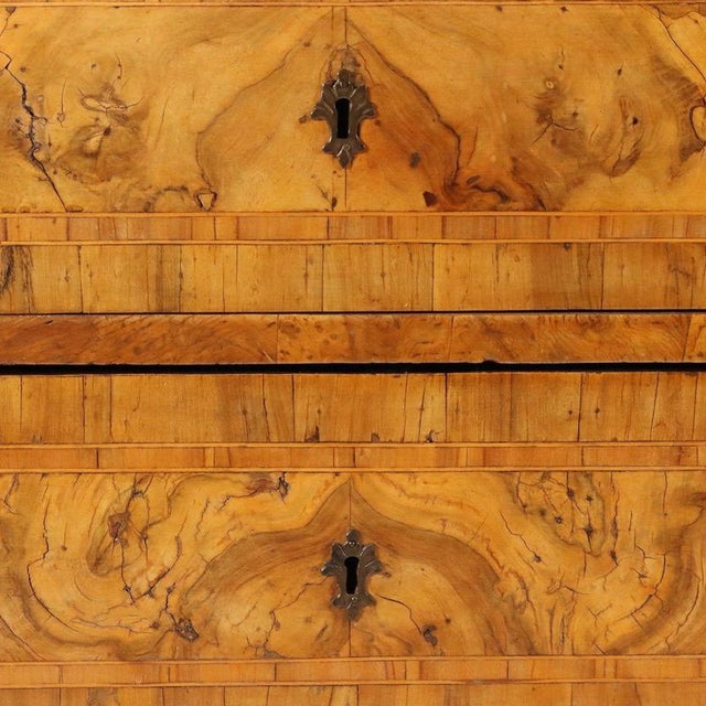 Italian Chest of Drawers in Walnut For Sale - Image 6 of 12