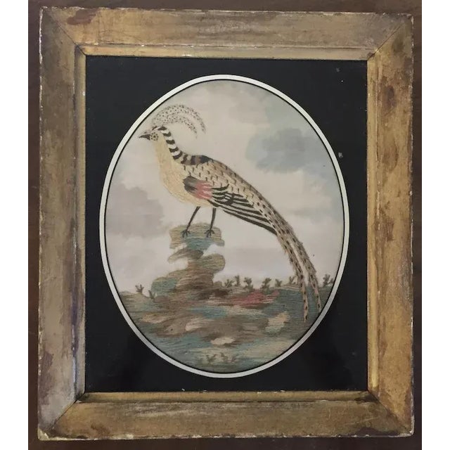 Cream Antique 18th Century English George III Needlework of an Exotic Bird in Original Gilt Wood Frame For Sale - Image 8 of 11