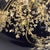 Vintage Botanical Resin Paperweight With Pressed Queen Anne's Lace For Sale - Image 14 of 17