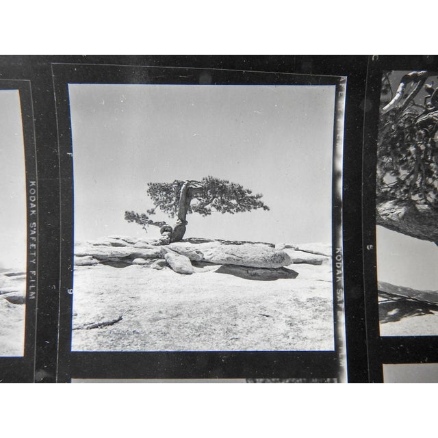 Mid 20th Century Vintage California Yosemite Contact Sheet Photographs For Sale - Image 5 of 6