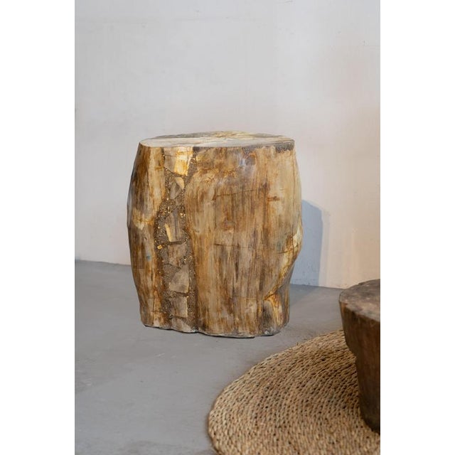 Petrified Wood Side Table, 1970s For Sale - Image 9 of 9