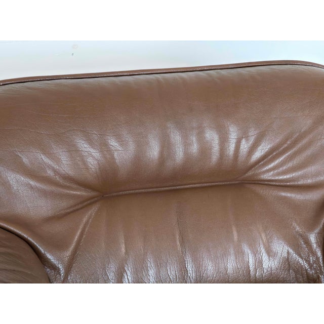 Animal Skin DS-16 Lounge Chair in Brown Leather from de Sede, Switzerland, 1970s For Sale - Image 7 of 9