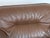 Animal Skin DS-16 Lounge Chair in Brown Leather from de Sede, Switzerland, 1970s For Sale - Image 7 of 9