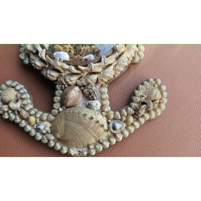 Wood Victorian Anchor Seashell Maritime Diorama in Beech and Glass For Sale - Image 7 of 10