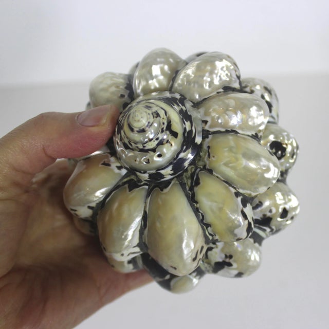 White Vintage Shell Trinket Box For Sale - Image 8 of 10