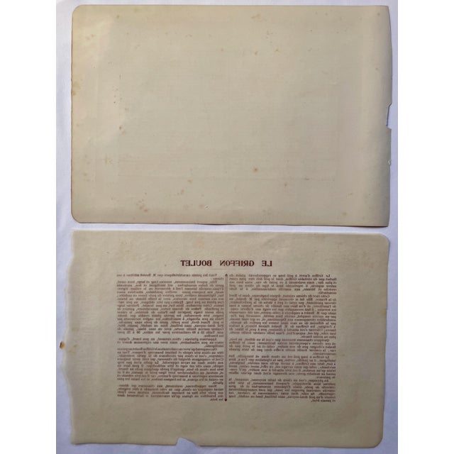 French 1907 French Photogravure Print of “Le Griffon Boulet” Hunting Dog - For Sale - Image 3 of 3