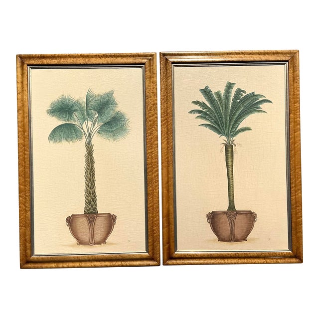Vintage Coastal Palm Prints - A Pair For Sale