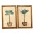 Vintage Coastal Palm Prints - A Pair For Sale