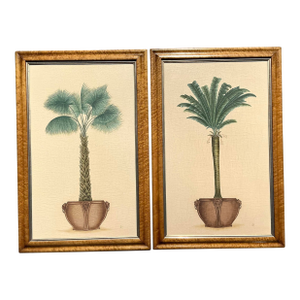 Vintage Coastal Palm Prints - A Pair