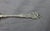 Art Nouveau Circa 1890 German Set of 11 800 Standard Silver & Gilt Demitasse Spoons - 11 pcs For Sale - Image 3 of 6