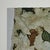 1991 "Dancing Coral" Abstract Multicolor Signed Lithograph Print by Marlene Tseng Yu For Sale - Image 10 of 11