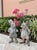 A Pair of Vintage Cast Iron Anthropomorphic Hare and Mouse Garden Statues For Sale - Image 10 of 12