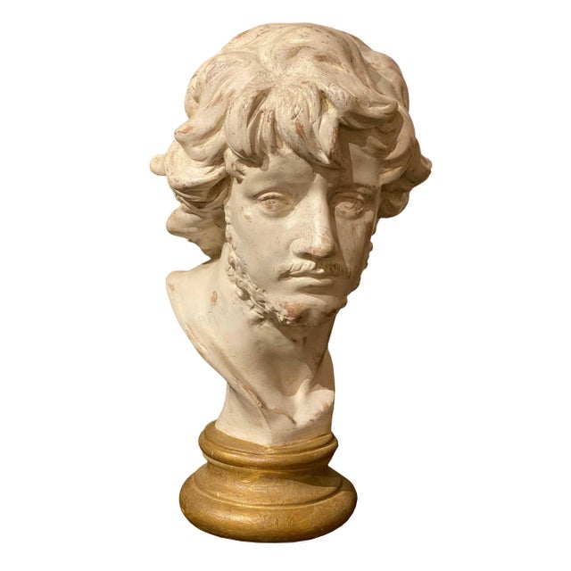 2000 - 2009 Alexander the Great Bust For Sale - Image 5 of 5