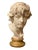 2000 - 2009 Alexander the Great Bust For Sale - Image 5 of 5