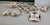 Coalport Porcelain Regency Chinoiserie Dessert Service, John Rose & Co., 58 Pieces For Sale - Image 9 of 17
