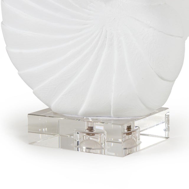 Contemporary Nautilus Shell Small, White For Sale - Image 3 of 4