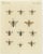 Bertuch, Illustrations of Various Insects Including Wasps and Flies, Prints, Set of 3 For Sale - Image 3 of 6