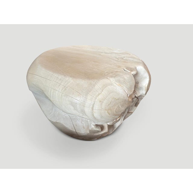 Andrianna Shamaris Sculptural Bleached Coffee Table or Side Table For Sale - Image 14 of 18