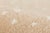 Erin Gates by Momeni Woodland Antelope Beige Hand Tufted Wool Area Rug10' X 14' For Sale - Image 9 of 12