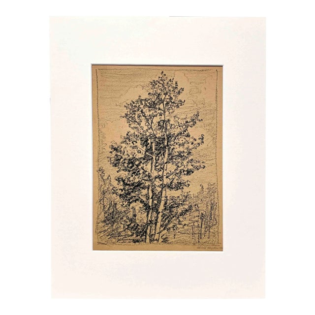 Circa 1920s Graphite on Paper Wooded Landscape by Artist Harold Haydon For Sale