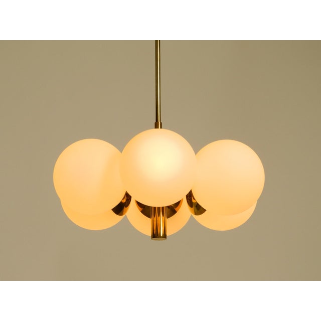 Vintage Brass Pendant Lamp with Six Opal Glass Shades from Kaiser Leuchten, 1960s For Sale - Image 6 of 16