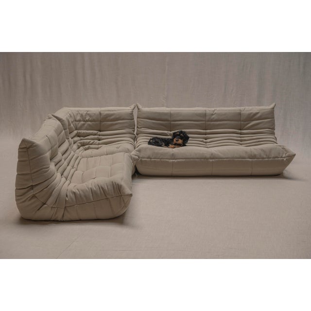Togo Sofa Set by Michel Ducaroy for Ligne Roset, 1973, Set of 3 For Sale - Image 6 of 18
